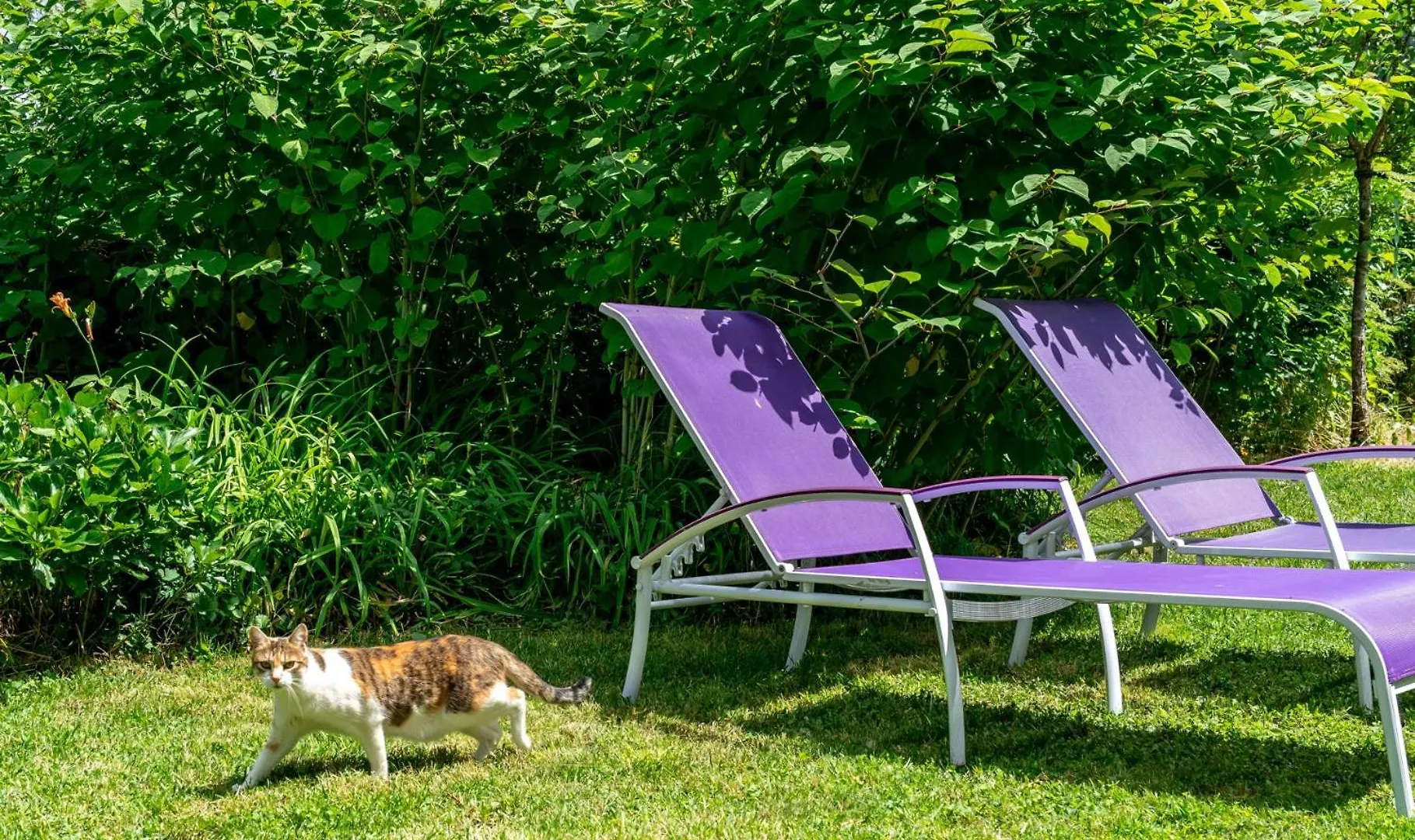 Holiday home La Maison De Germaine Planay France